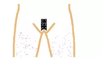 巴西式