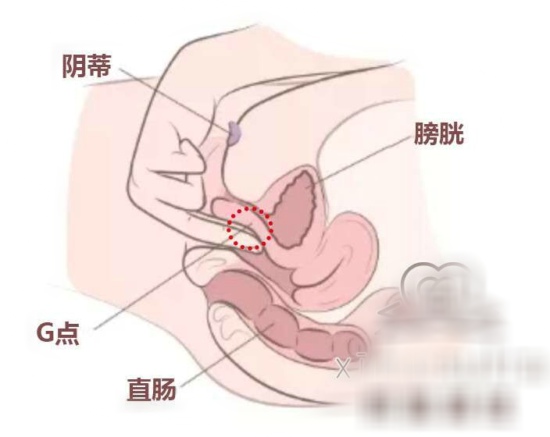 用上图这个手势进入