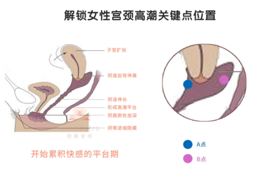 B点