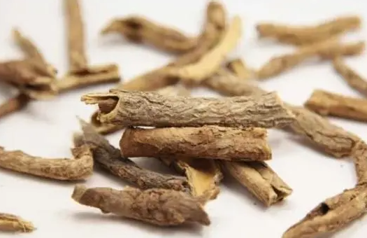 香加皮的功效与作用是什么 香加皮和五加皮的区别