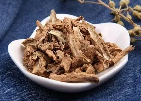地骨皮的作用 地骨皮的功效