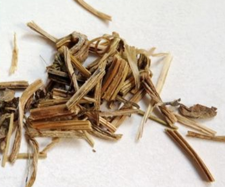 丝瓜根的功效与作用 丝瓜藤的根怎么治疗鼻窦炎