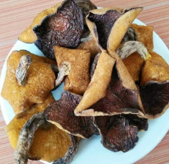 松蘑的功效与作用 干松蘑怎样泡发