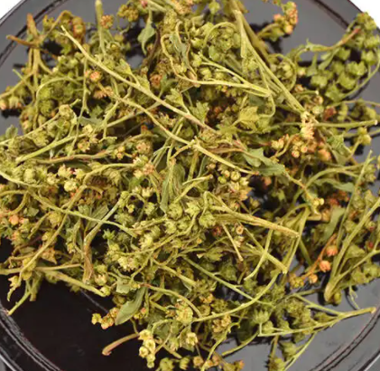 赶黄草的功效与作用 赶黄草的功效与作用
