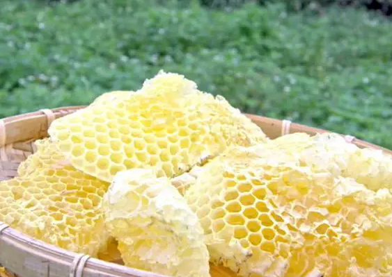 蜂房的功效与作用 蜂房泡酒的功效和做法