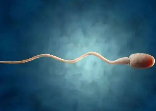 男人禁欲有什么好处 可以提高精子质量