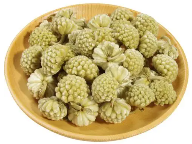 藏药绿萝花作用和功效 藏药绿萝花五大功效