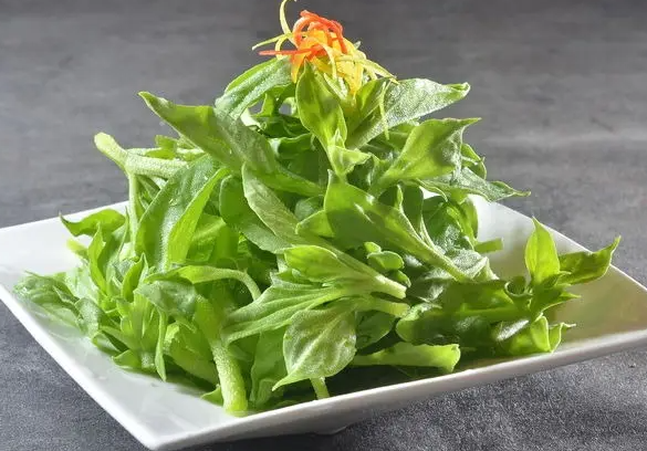 冰草的功效与作用 冰草生吃还是煮熟吃好