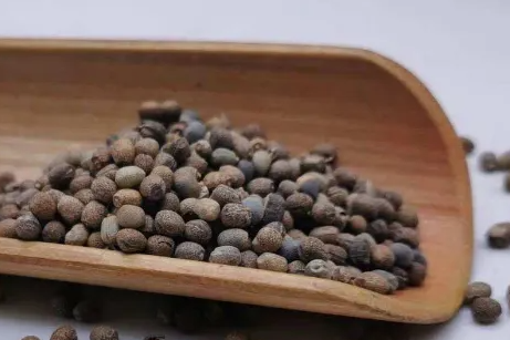 千金子的作用 千金子的别名
