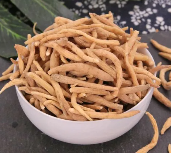 孩儿参的功效与作用 孩儿参是什么