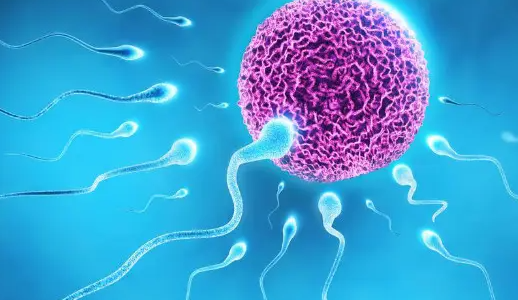 女人吃精子有哪些好处 吃精子的几种好处