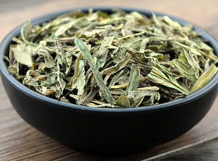 凤尾草的作用 凤尾草能降血糖吗