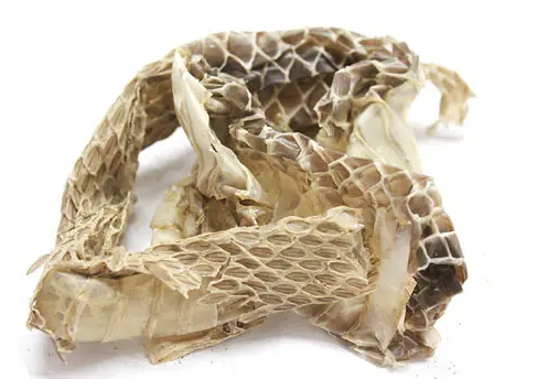 蛇蜕的功效与作用 用蛇蜕怎样治疗皮肤病