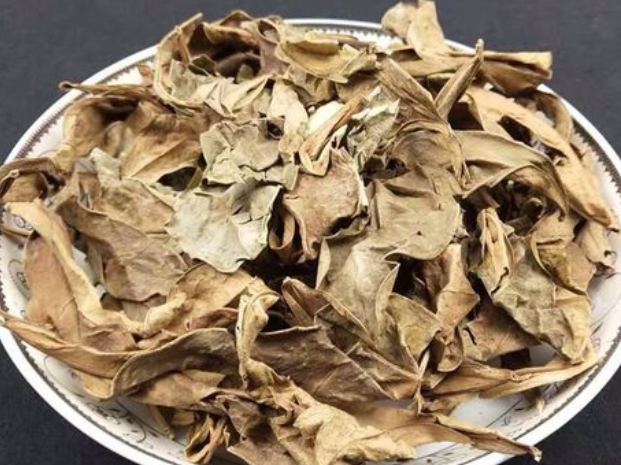 龙利叶的功效与作用及禁忌症 龙利叶配什么止咳化痰流鼻涕
