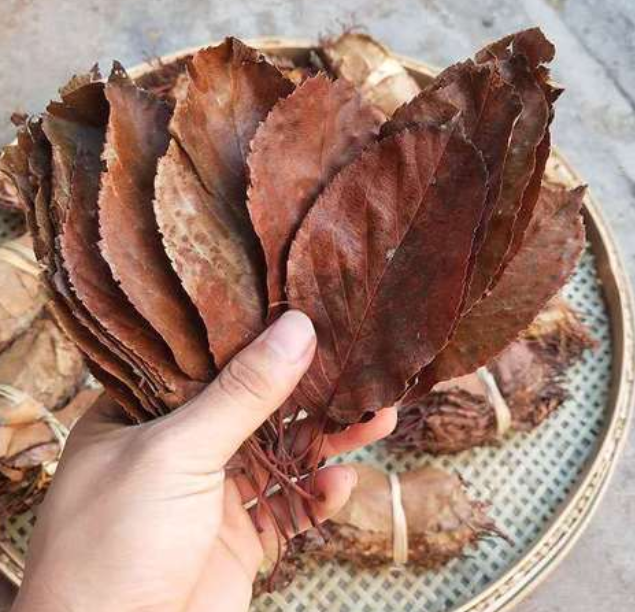 山楂叶的功效与作用 山楂叶泡水的功效与作用有哪些