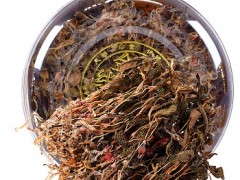 金线莲治肝偏方 介绍三个金线莲治肝偏方