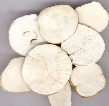 天花粉的功效与作用 天花粉的副作用和禁忌