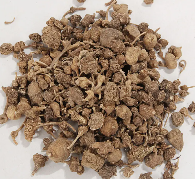 珠儿参的功效与作用 珠子参的副作用