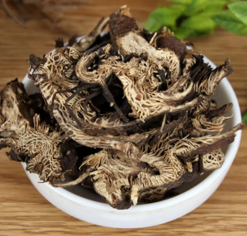 升麻的功效与作用 升麻的禁忌是什么