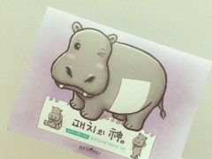 河马瘦身贴怎么样？河马瘦身贴使用方法是怎样的？