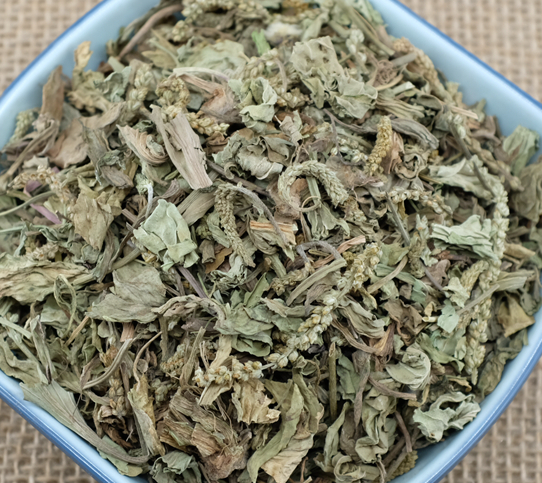 车前草的功效与作用 车前草主治什么病