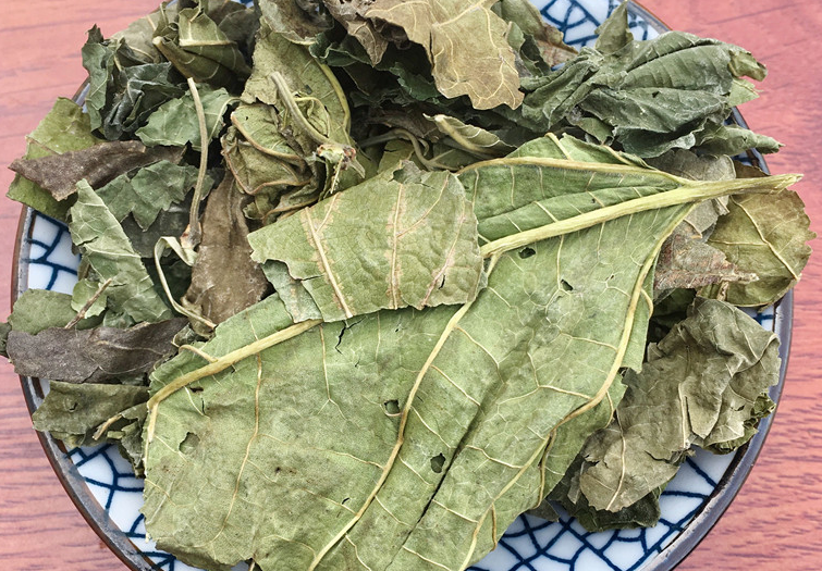 桑叶的功效与作用 桑叶泡水喝的五大禁忌