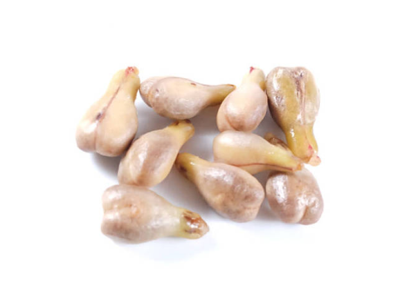 葡萄籽的功效与作用 葡萄籽的食用方法
