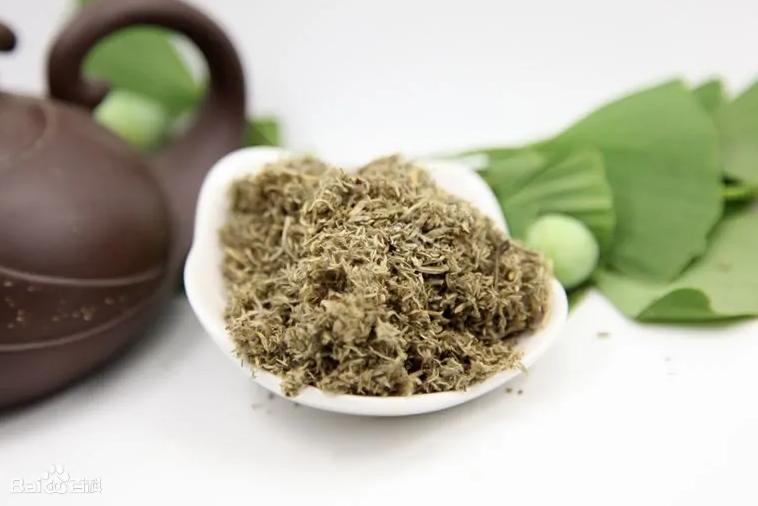 中药茵陈的作用与功效 茵陈和什么搭配好