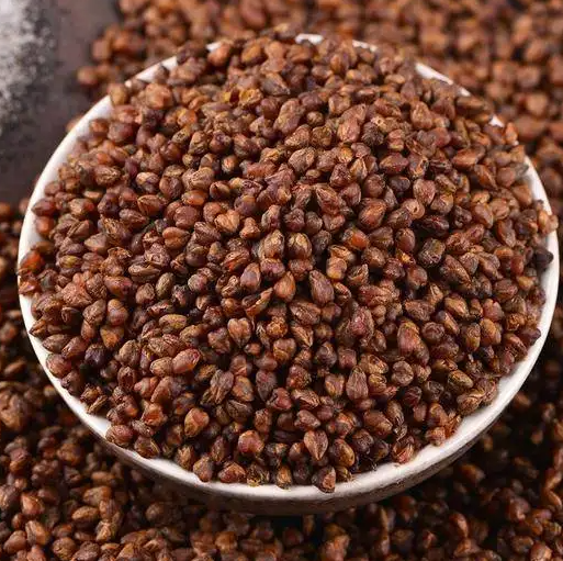 黑苦荞茶的功效与作用 黑苦荞茶可以天天喝吗