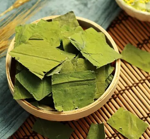喝荷叶茶真的有减肥效果
