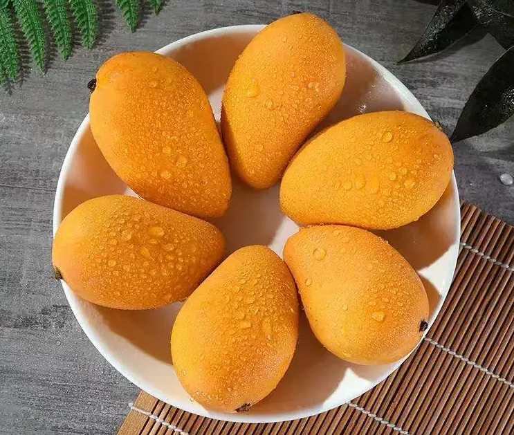 芒果的作用 芒果的功效