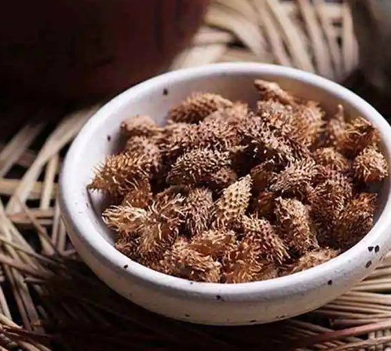 苍耳子的功效与作用 苍耳子的功效与作用