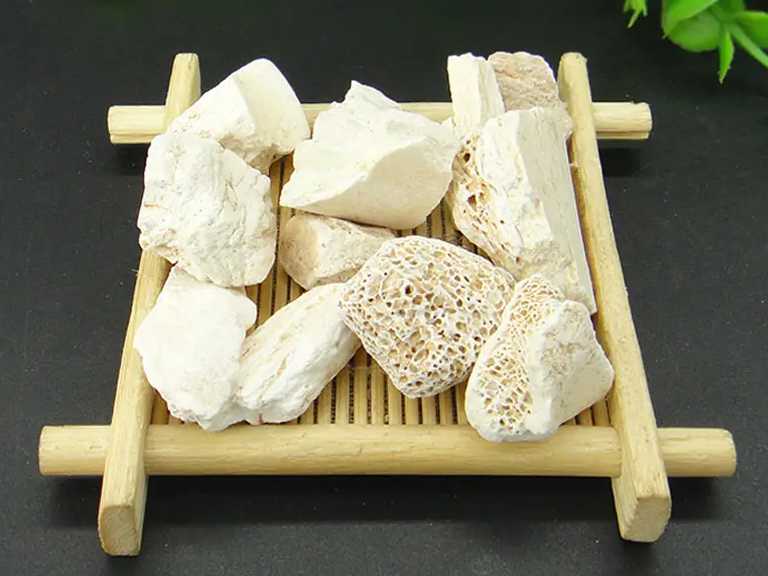 龙骨的功效与作用 龙骨治什么病