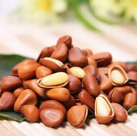 松子的功效与作用 食用松子要注意什么