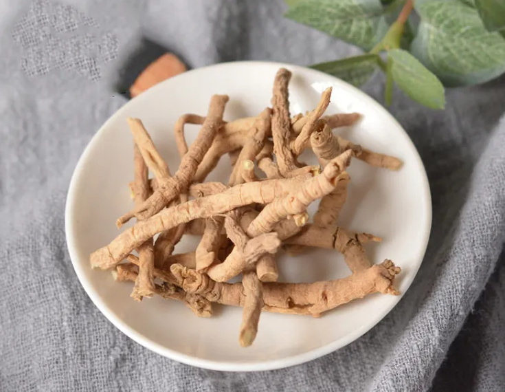 远志的功效与作用 远志能提高记忆力吗