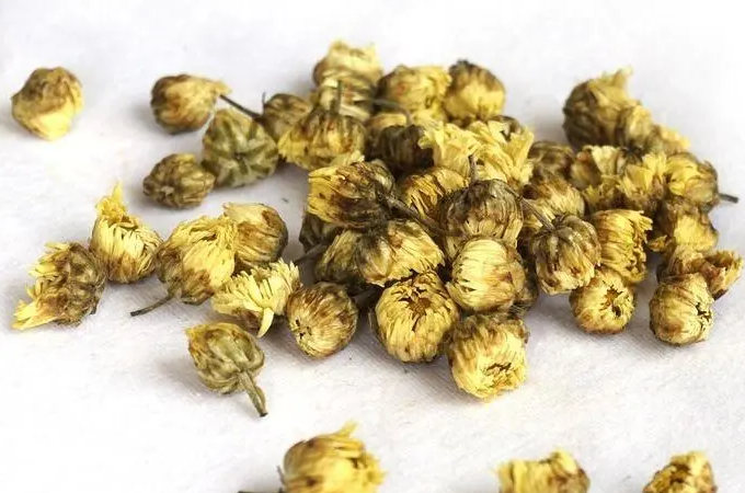 菊花的功效与作用 菊花不能和什么食物一起吃