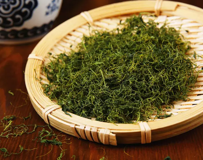 绞股蓝茶可以减肥吗 绞股蓝茶功效与作用