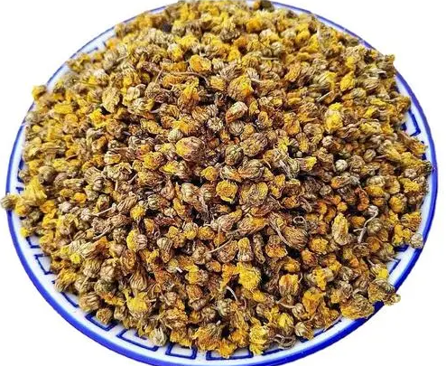 野菊花的功效与作用 野菊花泡水的禁忌