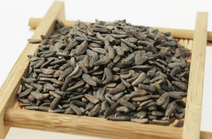 牛蒡子怎么泡水喝 牛蒡子的功效与作用