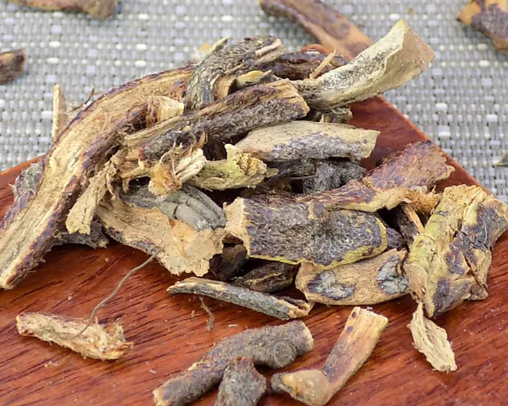 骨碎补的功效与作用 骨碎补哪些人不适合吃