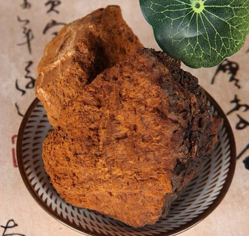 桦树茸的功效 桦树茸的副作用