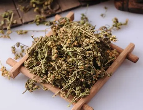 赶黄草的功效与作用 哪些人不能喝赶黄草