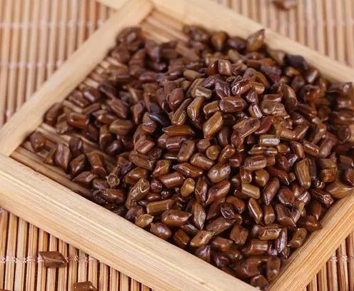 决明子茶的功效与作用 决明子茶能经常喝吗