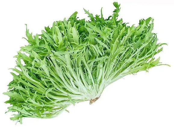 吃苦菜有什么好处 苦菜的功效与作用