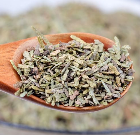 侧柏叶的功效与作用 侧柏叶治疗脱发的使用方法