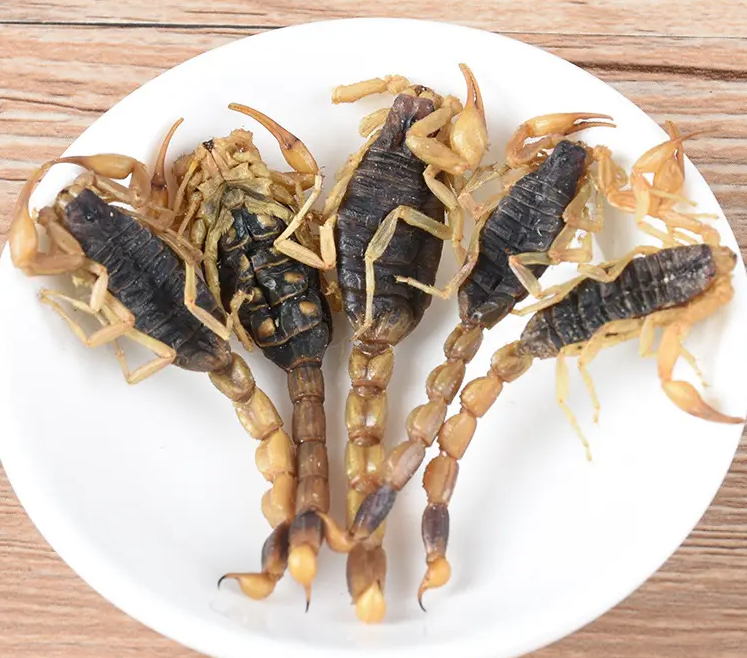 全蝎的功效与作用 蝎子可以泡酒吗