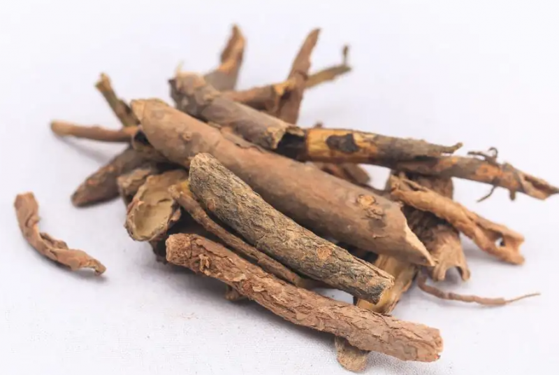 五加皮的功效与作用 五加皮泡水喝有哪些功效