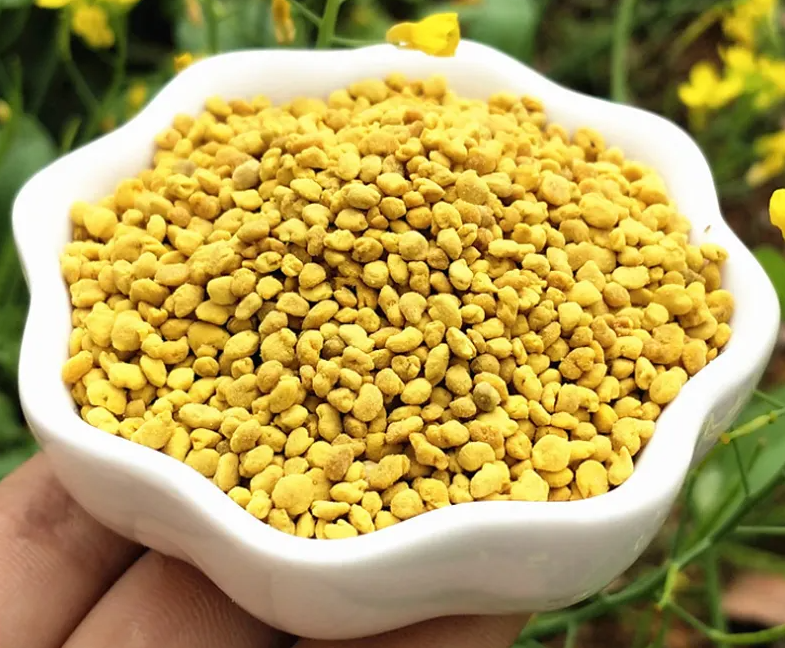 油菜花粉的功效与作用 油菜花粉的功效与作用