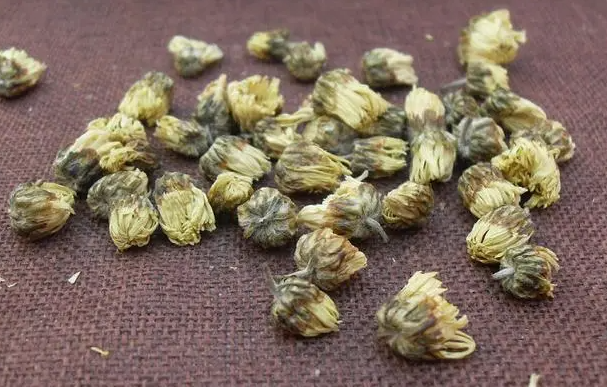 白菊花的功效与作用 白菊花要怎么泡茶喝