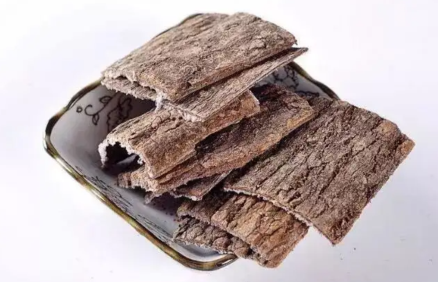 杜仲的功效与作用 杜仲和什么搭配补肾